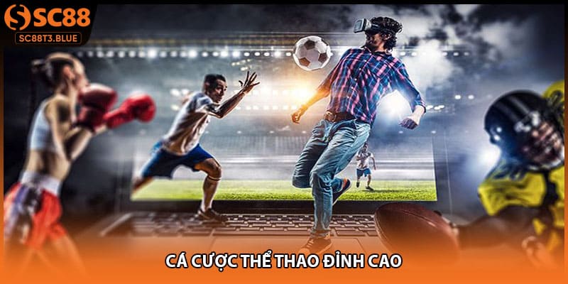 Cá cược thể thao đỉnh cao
