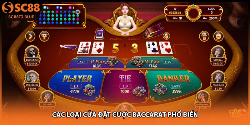 Các loại cửa đặt cược baccarat phổ biến