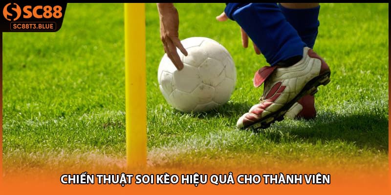 Chiến thuật soi kèo hiệu quả cho thành viên