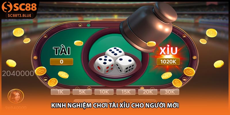 Kinh nghiệm chơi tài xỉu cho người mới