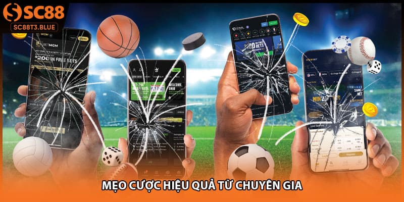 Mẹo cược hiệu quả từ chuyên gia