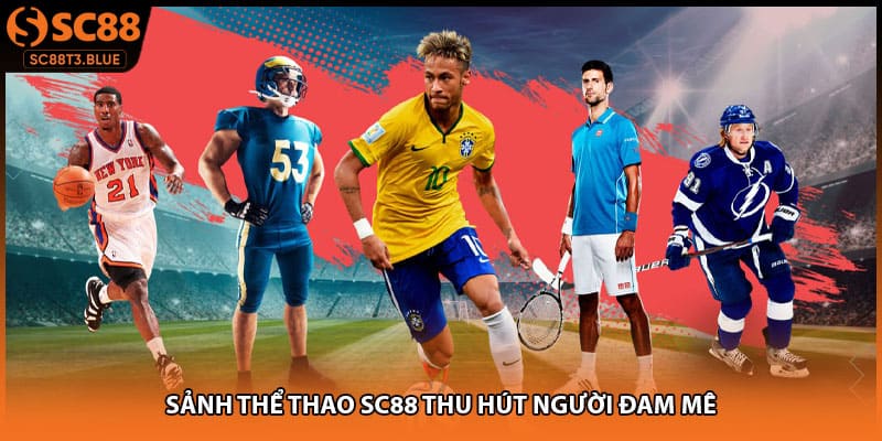 Sảnh thể thao SC88 thu hút người đam mê